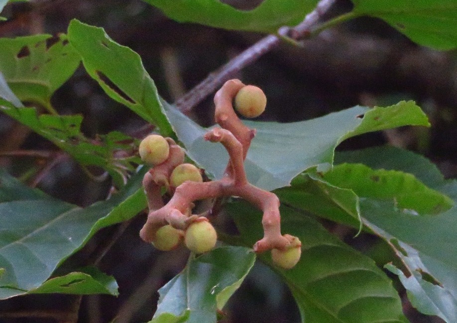 a0018655_08060264.jpg