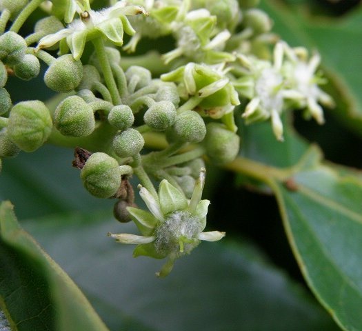 a0018655_08074771.jpg