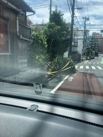 台風一過_c0133561_01205776.jpg