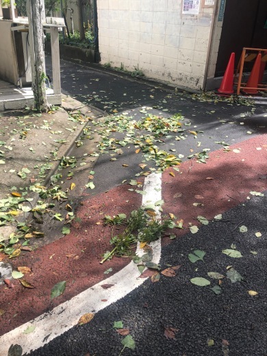 台風一過_c0133561_01212601.jpg