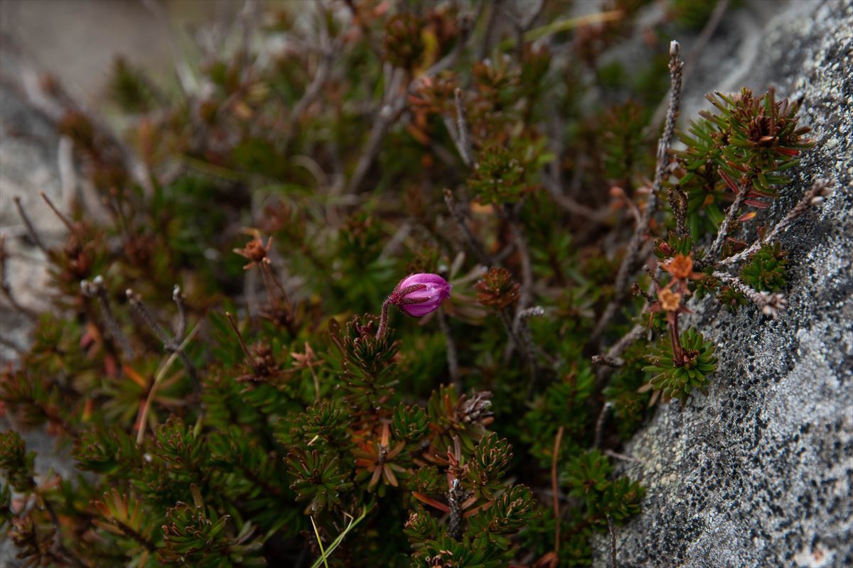b0281366_19563170.jpg