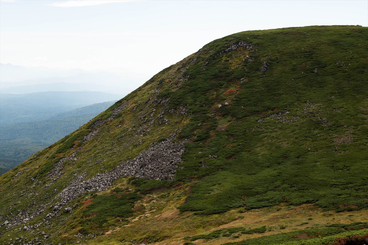 b0281366_19563887.jpg