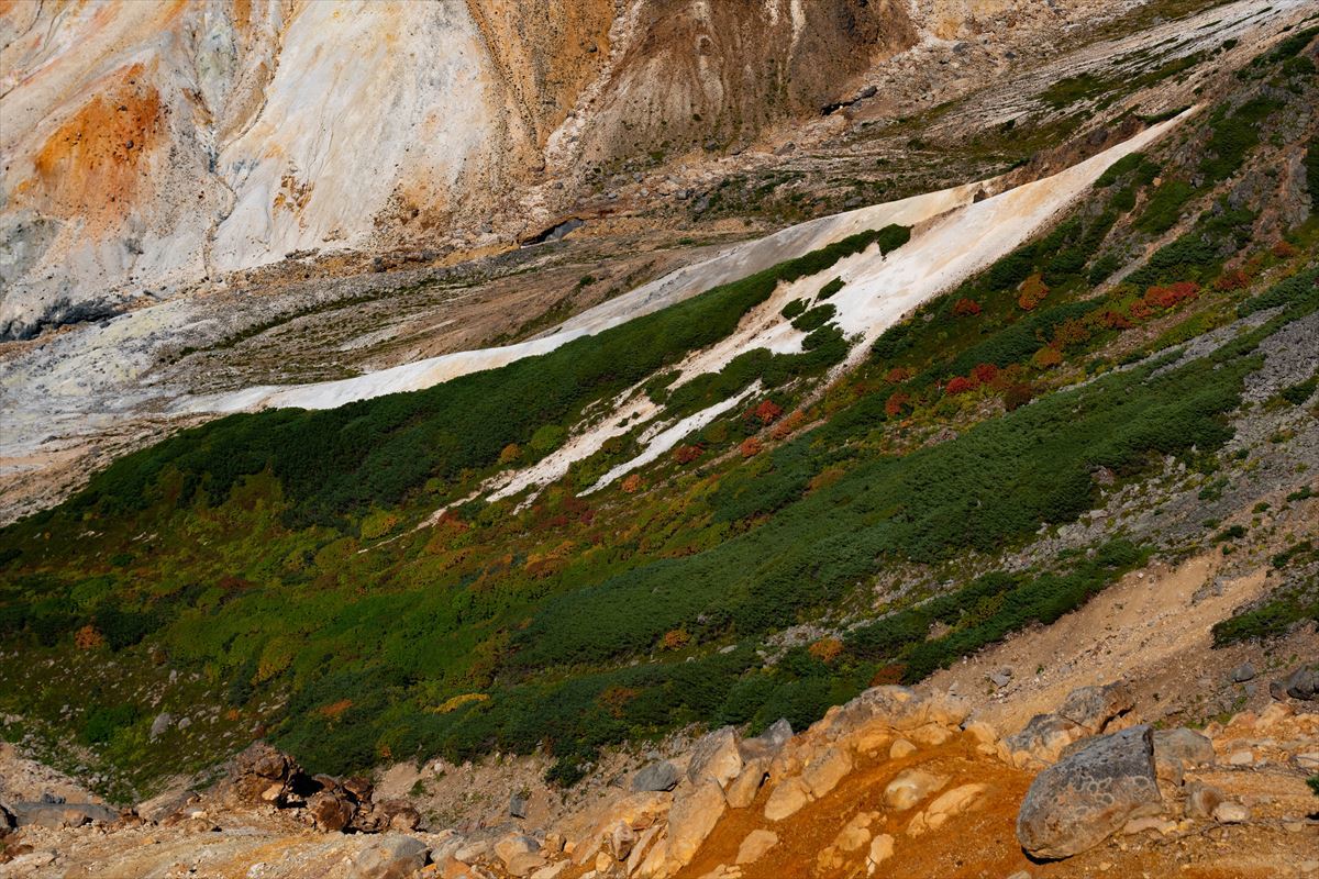 b0281366_19580273.jpg