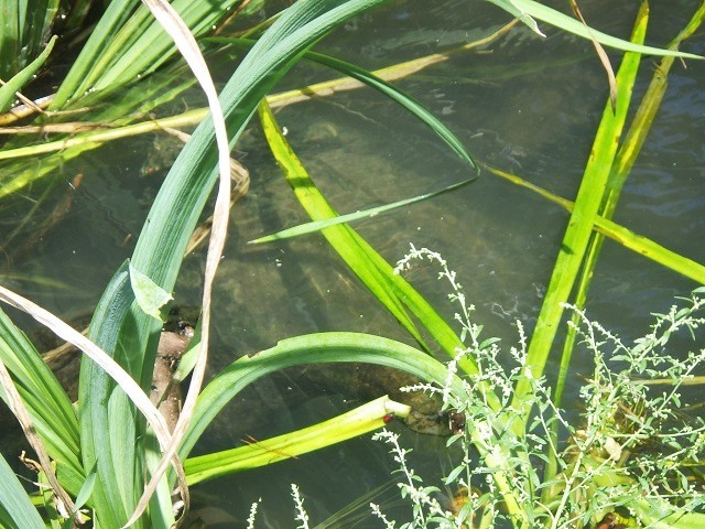 c0105569_01124454.jpg