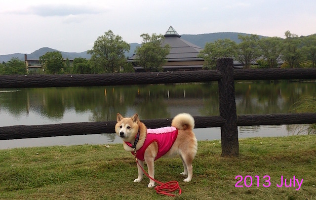b0274270_10020289.jpg
