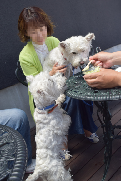 b0242873_00112780.png
