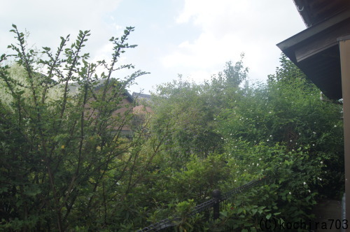 e0181373_20461047.jpg