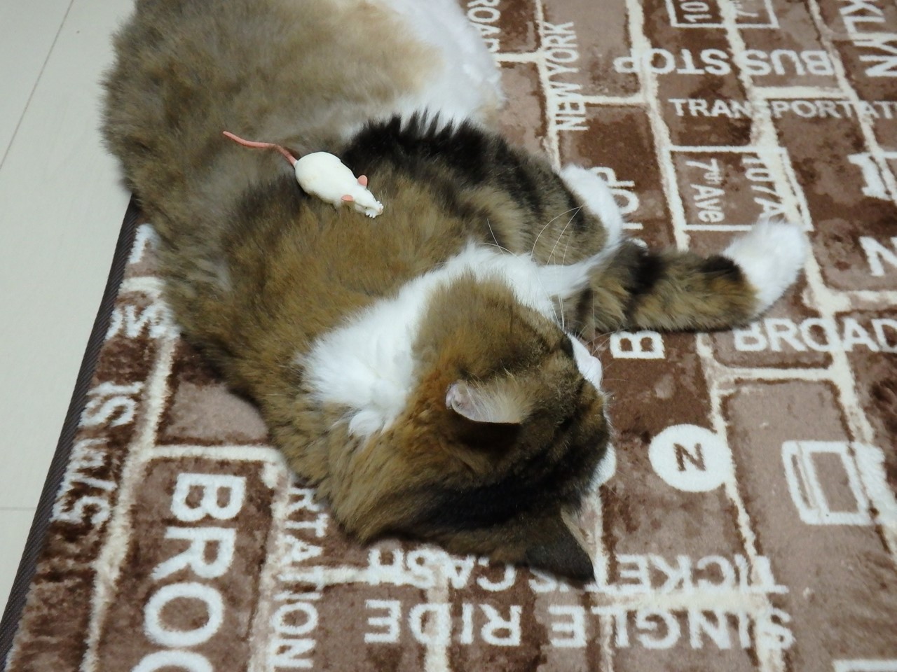 d0054276_20124949.jpg