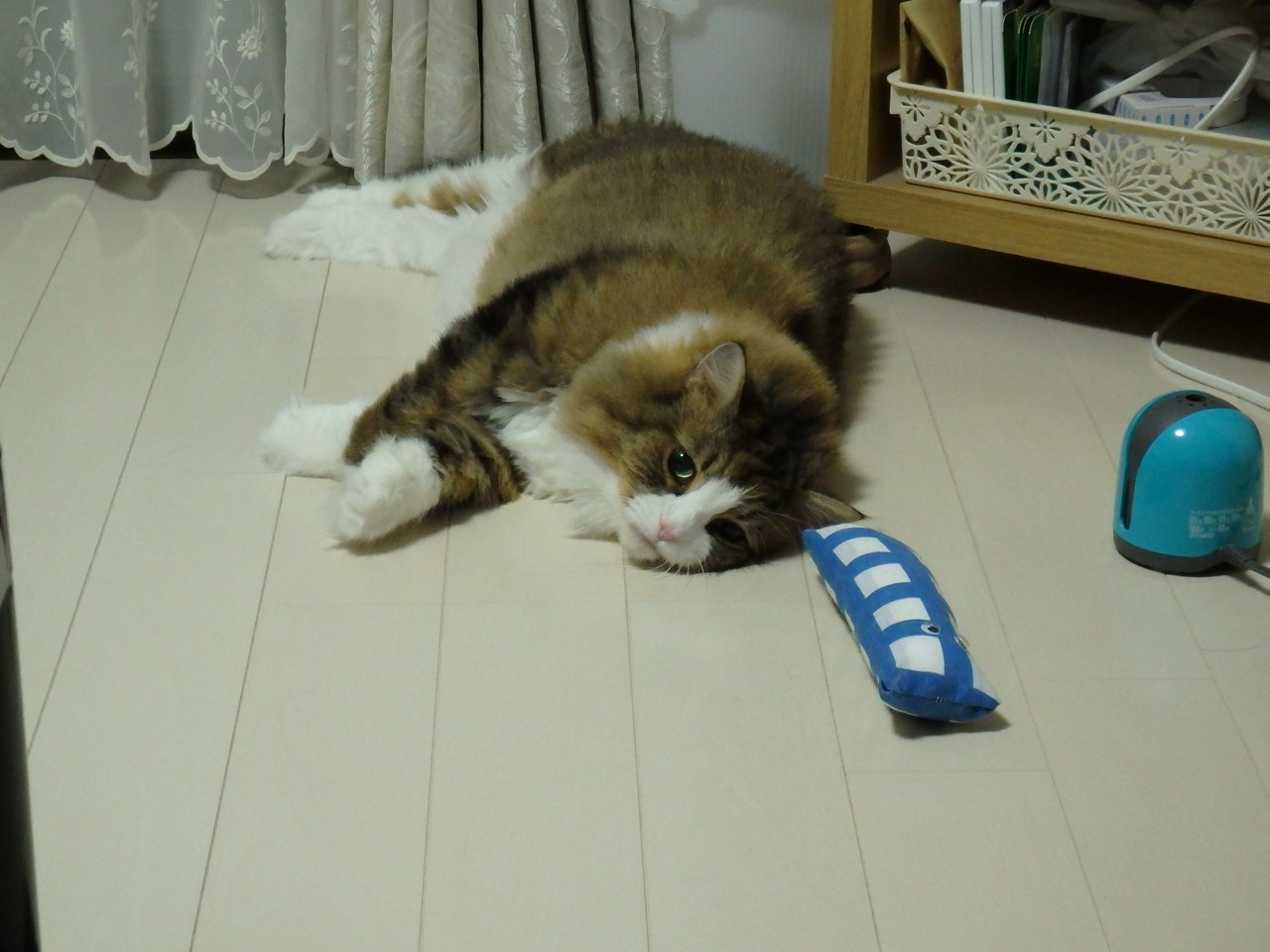d0054276_20141177.jpg