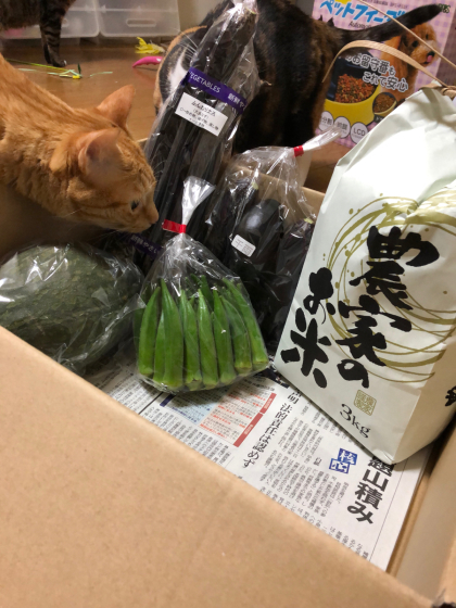 北海道旅最終日_e0355177_23063902.jpg