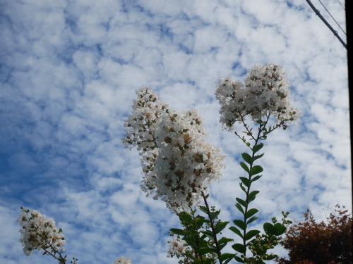 f0054677_09095321.jpg