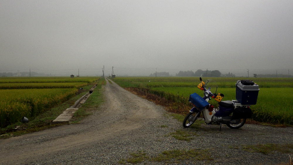 e0414878_14553187.jpg