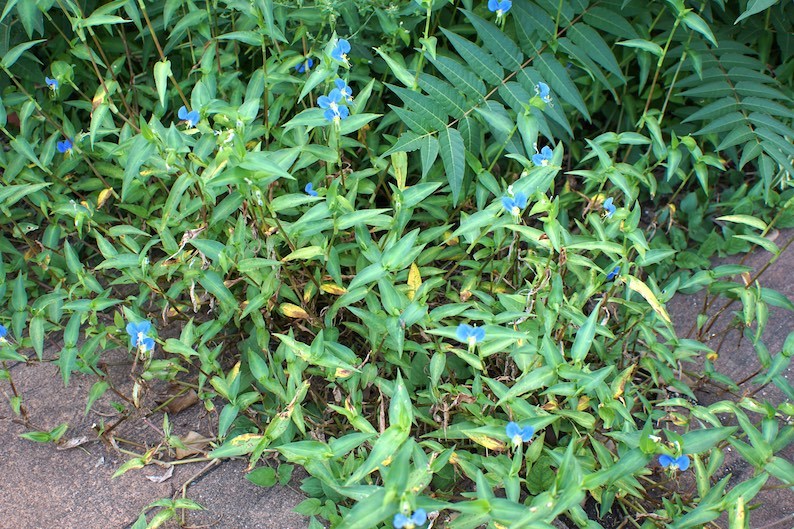 b0057679_09231125.jpg