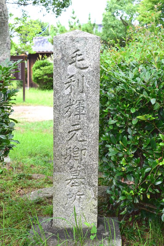 d0061579_8531994.jpg