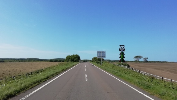 c0212083_16204182.jpg