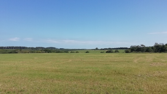 c0212083_16233081.jpg