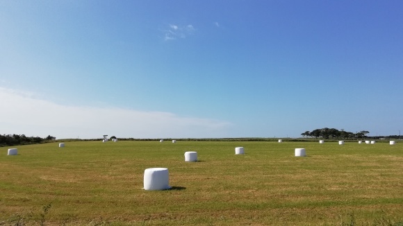 c0212083_16265473.jpg