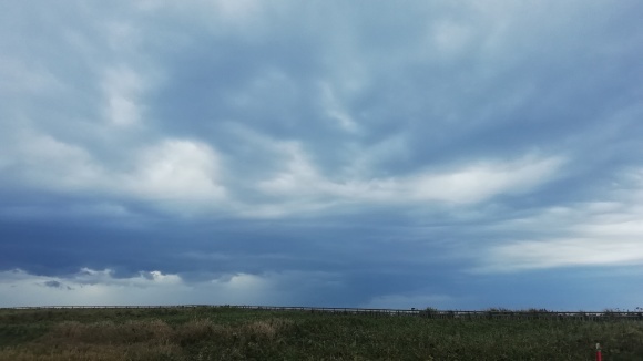 c0212083_16350906.jpg