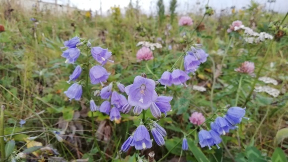 c0212083_17292117.jpg