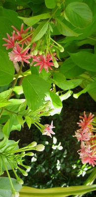 c0229483_038411.jpg