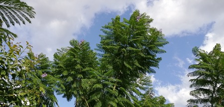 c0229483_040196.jpg