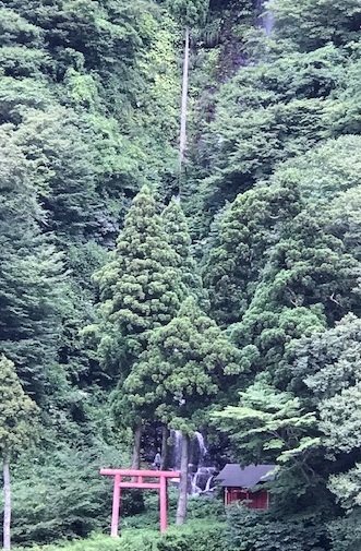 f0231785_12530712.jpg