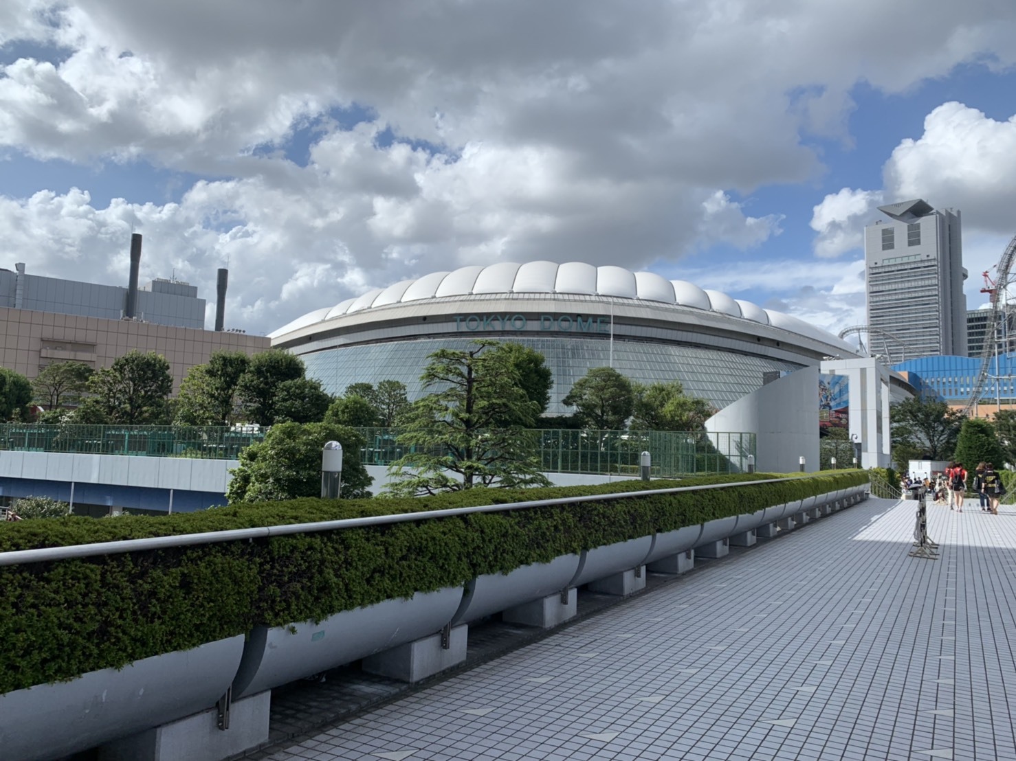 鴨と葱_a0258686_06484461.jpeg