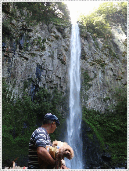 b0175688_06272195.gif