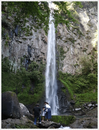 b0175688_06355569.gif