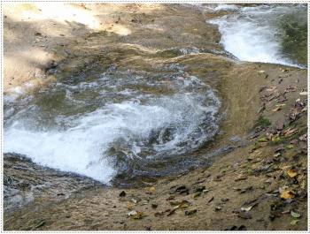 b0175688_06360264.gif