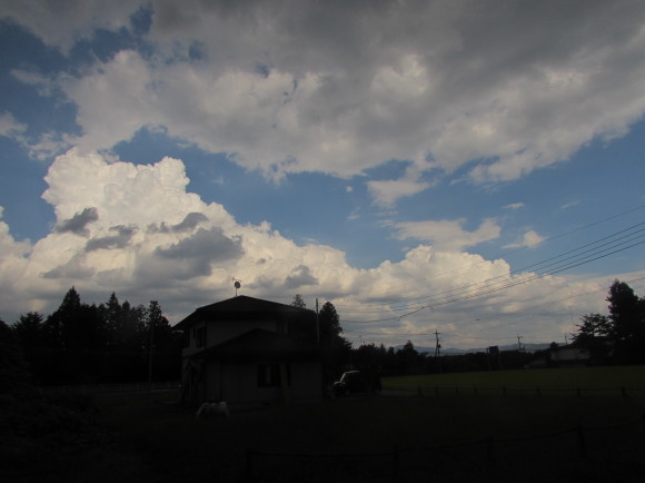 b0203588_15264551.jpg