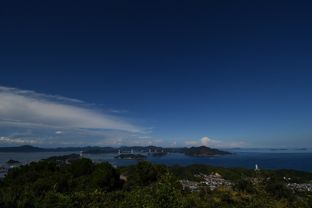 2019 09 10 今日はサンショウ食べられず・・・近見山_a0143491_22095990.jpg