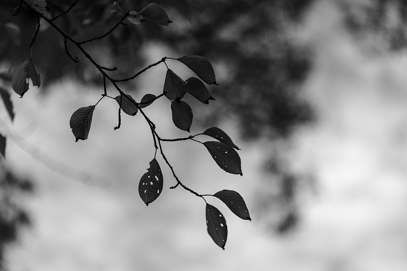 b0403692_21574959.jpg