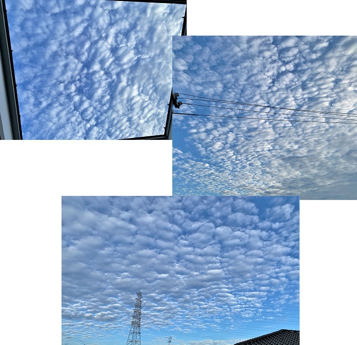 d0249193_09330855.jpg