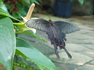 f0203094_11290845.jpg