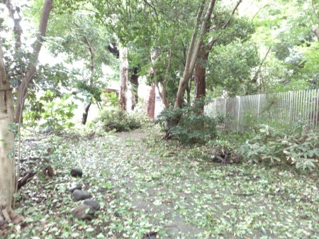 a0085195_00030348.jpg