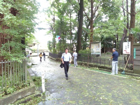 狛江駅前の緑地保全地区の台風被害について_a0085195_00031975.jpg