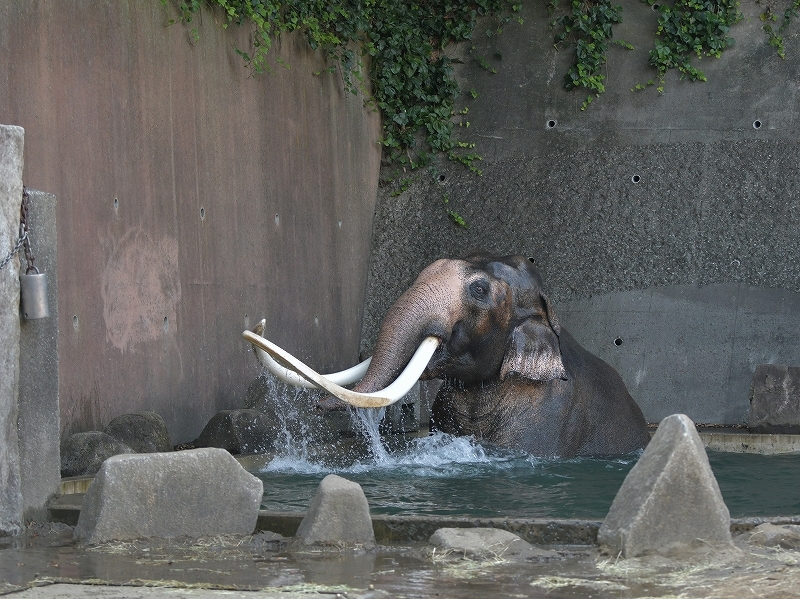 a0164204_21300981.jpg