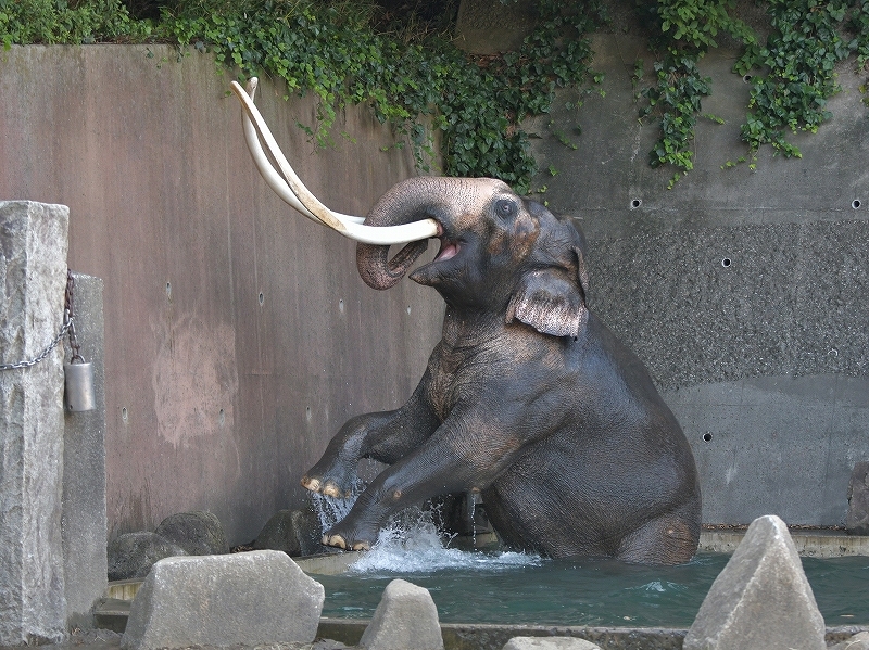 a0164204_21315614.jpg