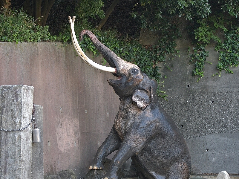 a0164204_21331500.jpg