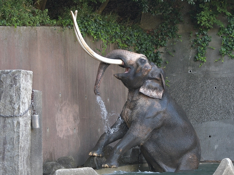 a0164204_21331689.jpg
