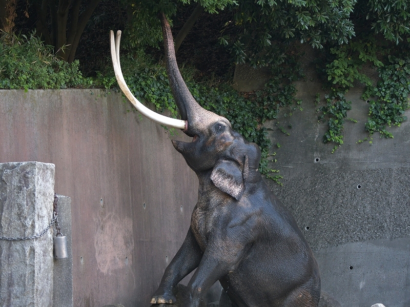a0164204_21342631.jpg