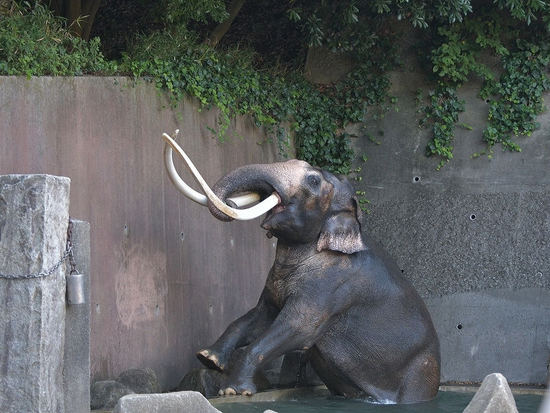 a0164204_21342633.jpg