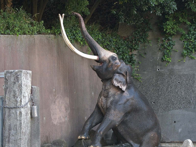 a0164204_21342645.jpg