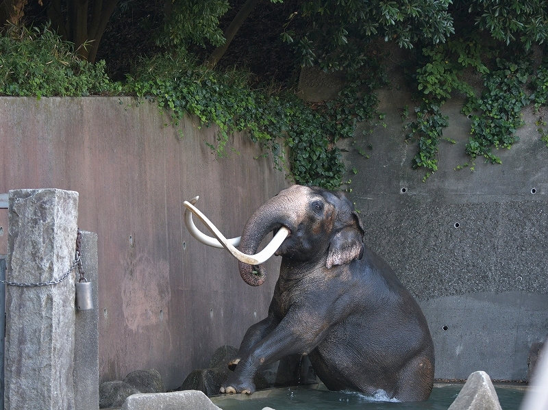 a0164204_21353647.jpg