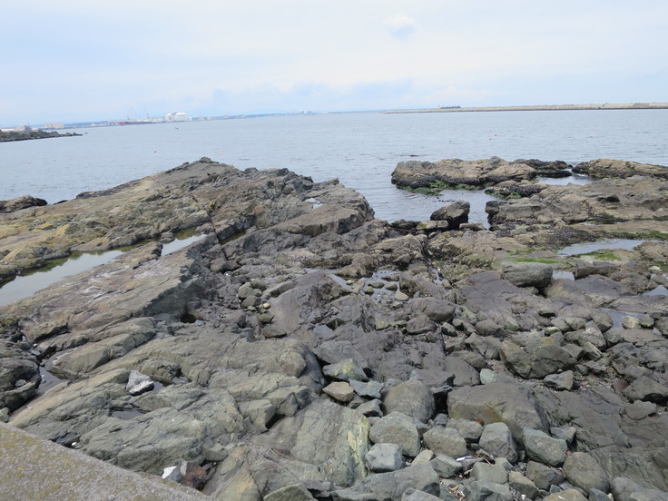 c0212604_2050111.jpg