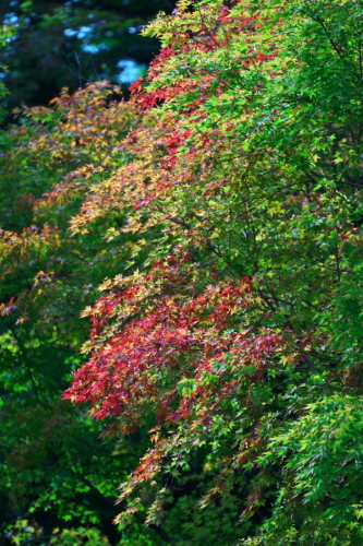 a0263109_21283201.jpg