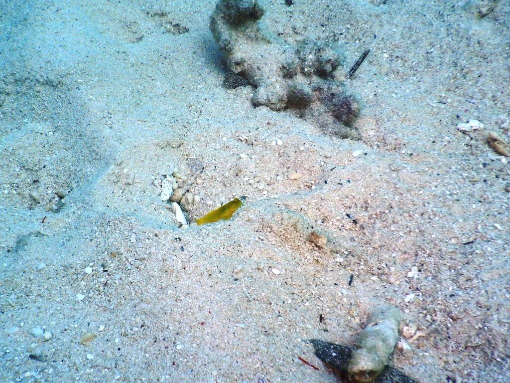 やっと海に出れました\(^o^)/_a0189838_10021982.jpg