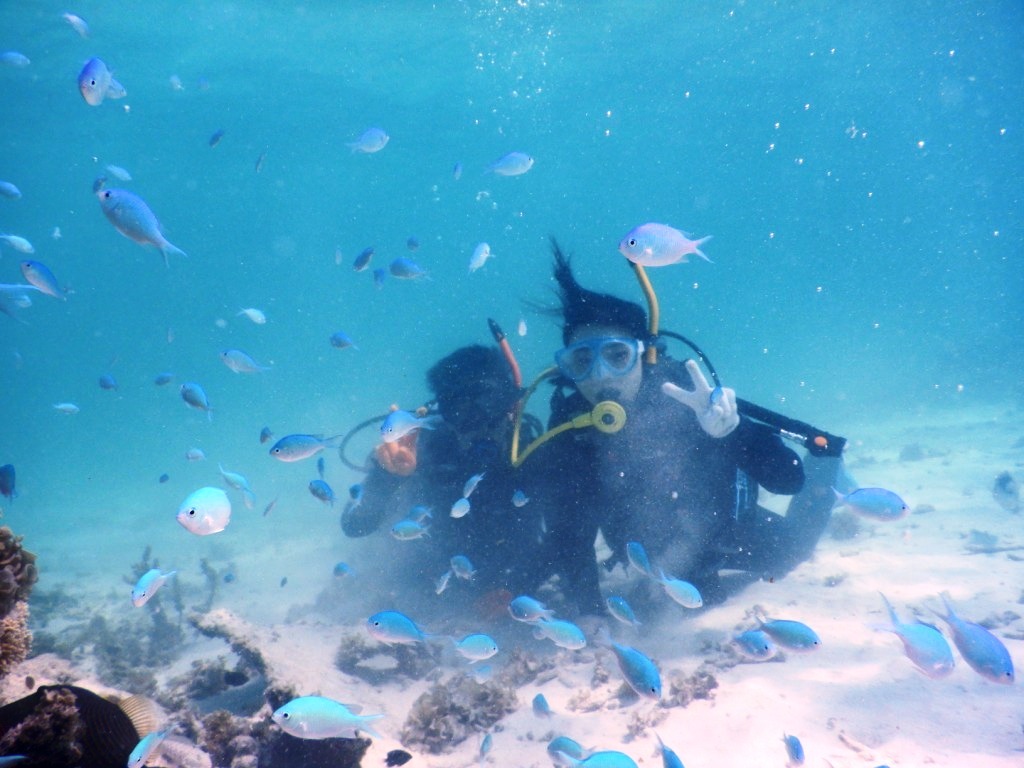 キレイな海で体験ダイビング~♪_a0189838_11394146.jpg