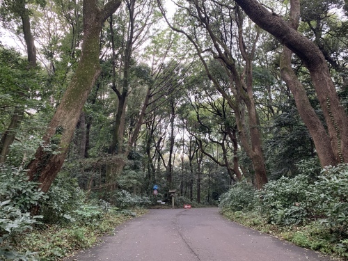 b0330040_18243570.jpeg